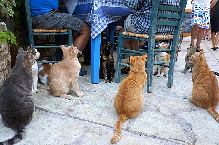 Agios Nikitas på Lefkas.