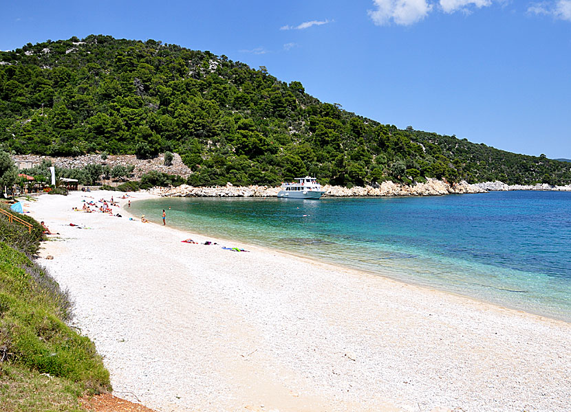 Alonissos bästa stränder. Leftos Gialos beach.