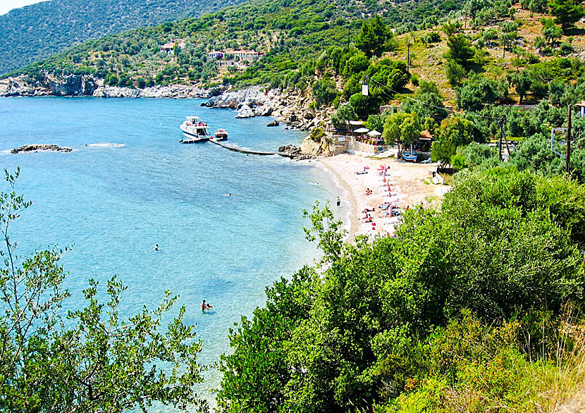 Megalos Mourtias beach på Alonissos.