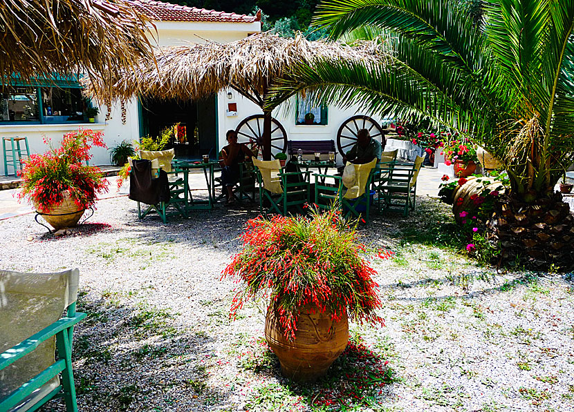 Restaurant Eleonas i Leftos Gialos på Alonissos.