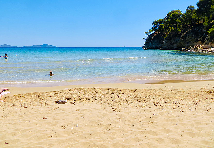 Chrisi Milia beach på Alonisssos i  Sporaderna.