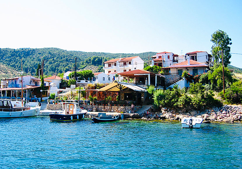 Restaurant To Fanari i Steni Vala på Alonissos.