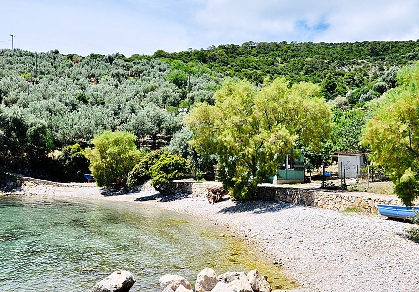 Steni Vala beach på Alonissos.