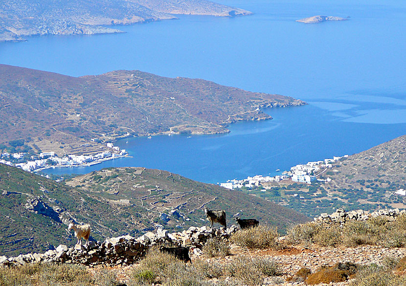 Katapola på Amorgos sett 500 meter över havet.