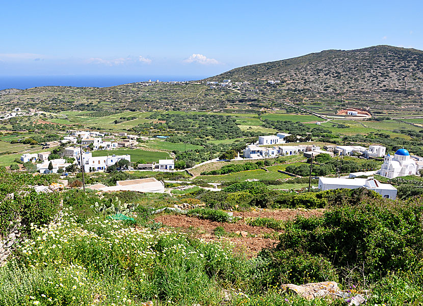 Arkesini på Amorgos.