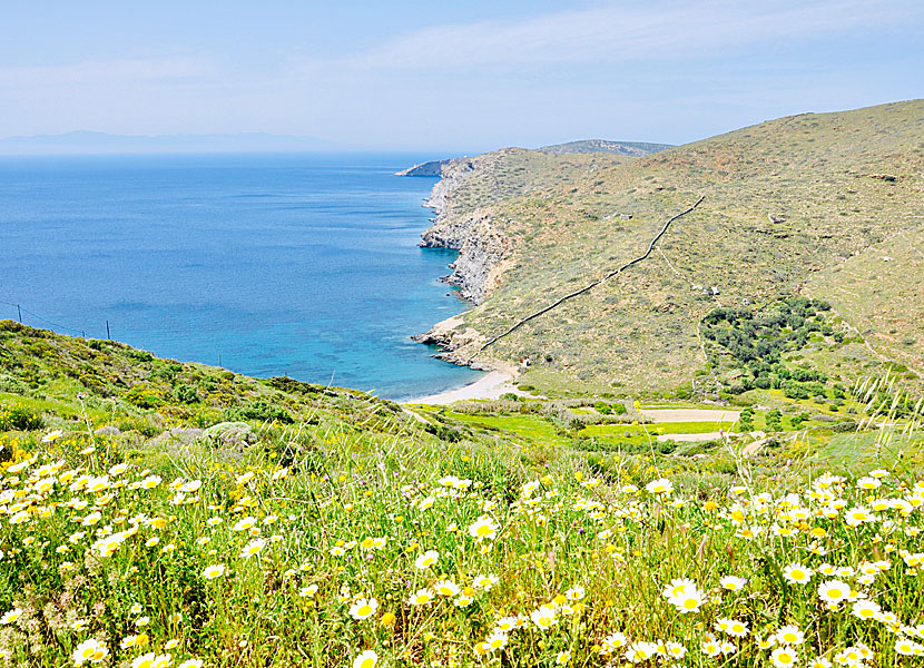 Amorgos bästa stränder. Lefkes och Finikies beach.