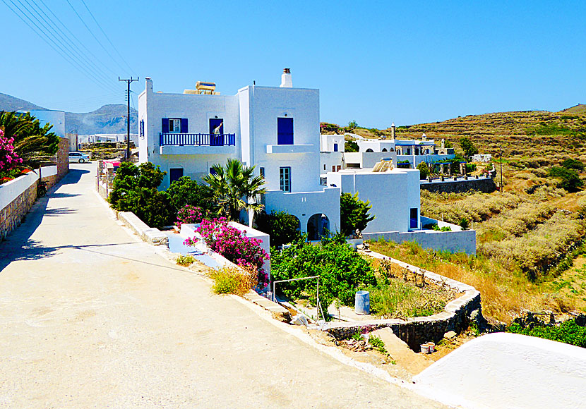 Evi's Studios i Tholari på Amorgos.