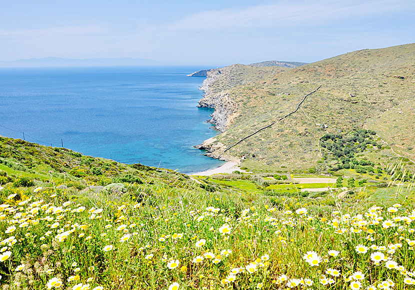 Finikies beach under den lilla byn Lefkes och Minoa på Amorgos.