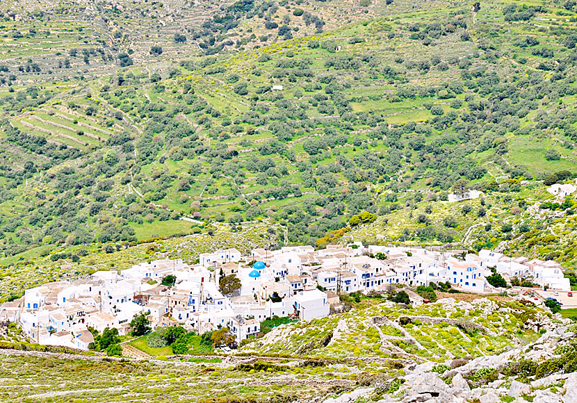 Vandra från Langada till väderkvarnarna i Machos på Amorgos.