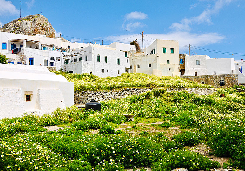 Chora på Amorgos är en av de vackraste byarna i Kykladerna.