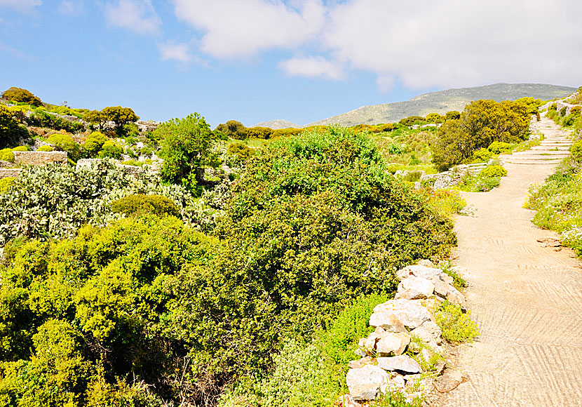 Vandra till kloster och kyrkor på Amorgos i Kykladerna.