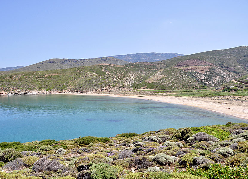 Andros bästa stränder. Ateni beach. 