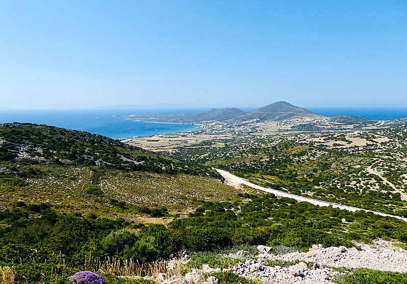 Vandringar på Antiparos i Grekland.