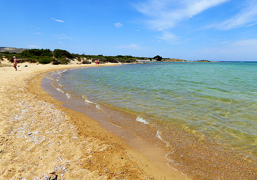 Nudist beach på Antiparos.