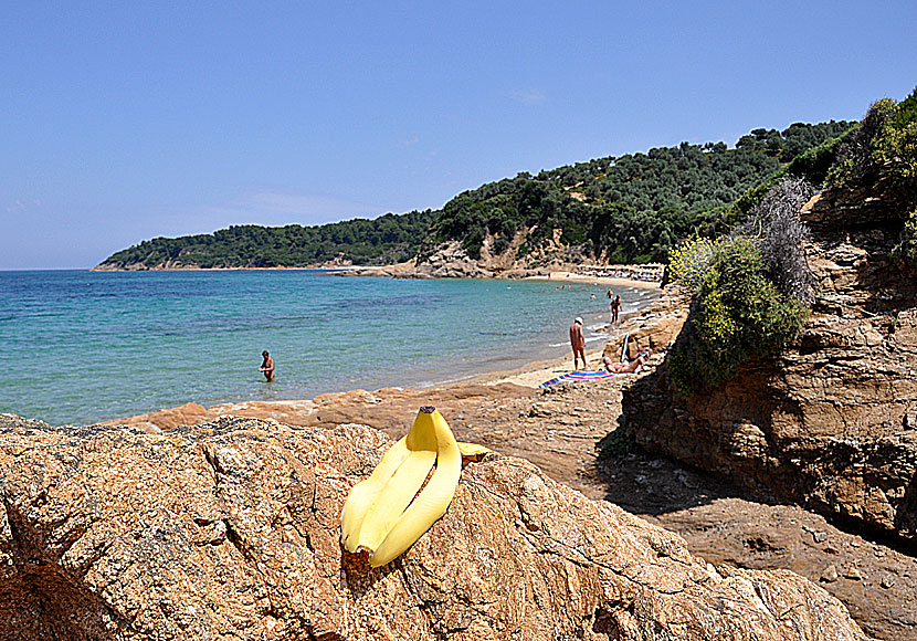 Banankontakt med Electric Banana Band på Little banana beach på Skiathos.