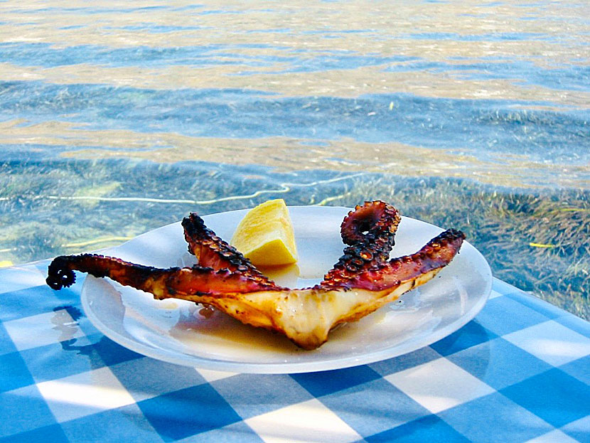 Smårätter från Grekland. Grillad åttaarmad bläckfisk - Oktapodi psito - är mycket gott tillsammans med ouzo.