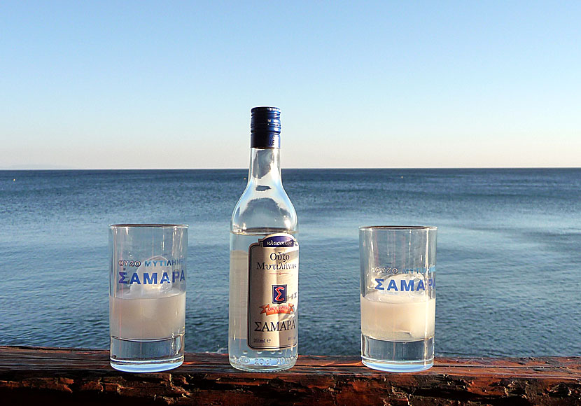 Ouzo Samara från Lesbos på en restaurang i Skala Eressou.