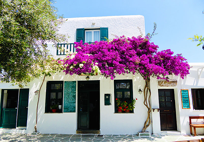 Restaurant Melissa i Chora på Folegandros.