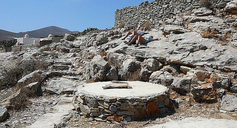 Asfondilites. Amorgos.