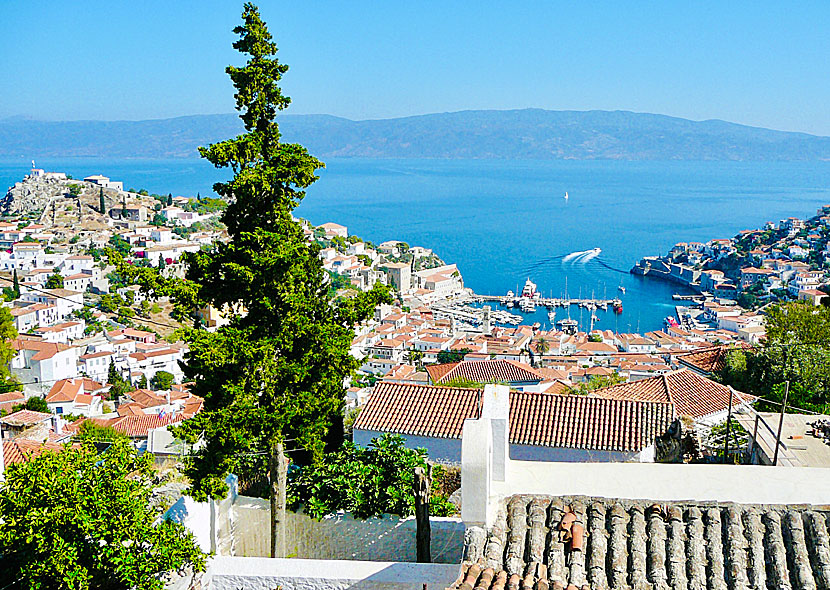 Om du följer vägen till höger i hamnen i Hydra stad kommer du till Mandraki beach. 