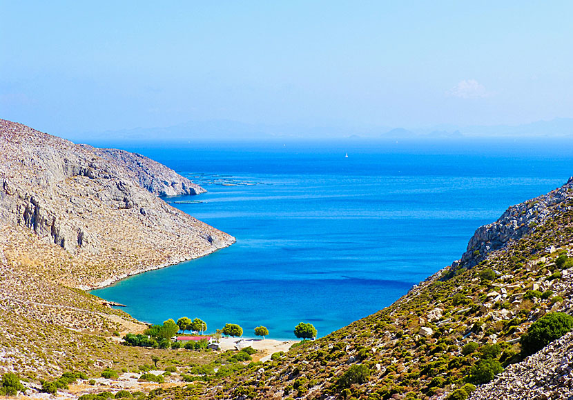 Kalymnos bästa stränder. Akti beach.  