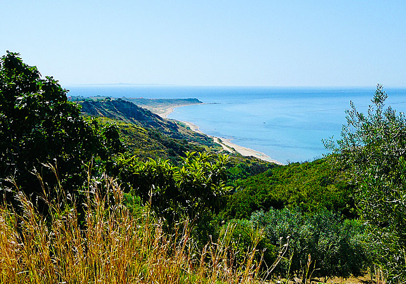 Den långa sandstranden Kaminia beach ligger nära stränderna i Skala och Kato Katelios på Kefalonia.