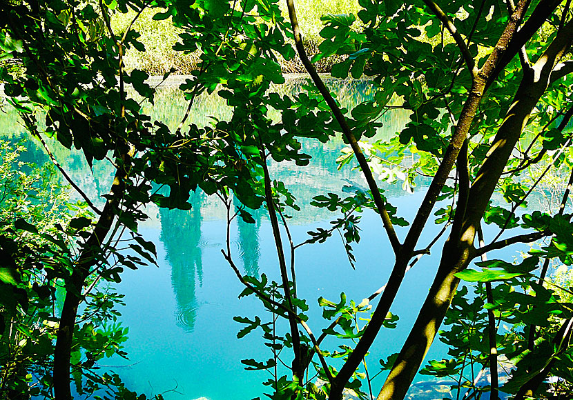 Avithos lake på Kefalonia i Grekland.