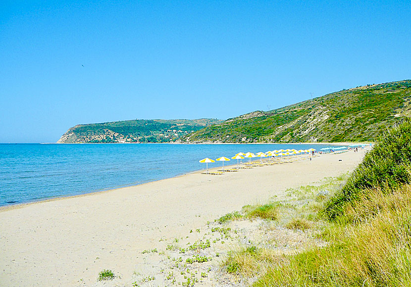 Kaminia beach på Kefalonia i Grekland.