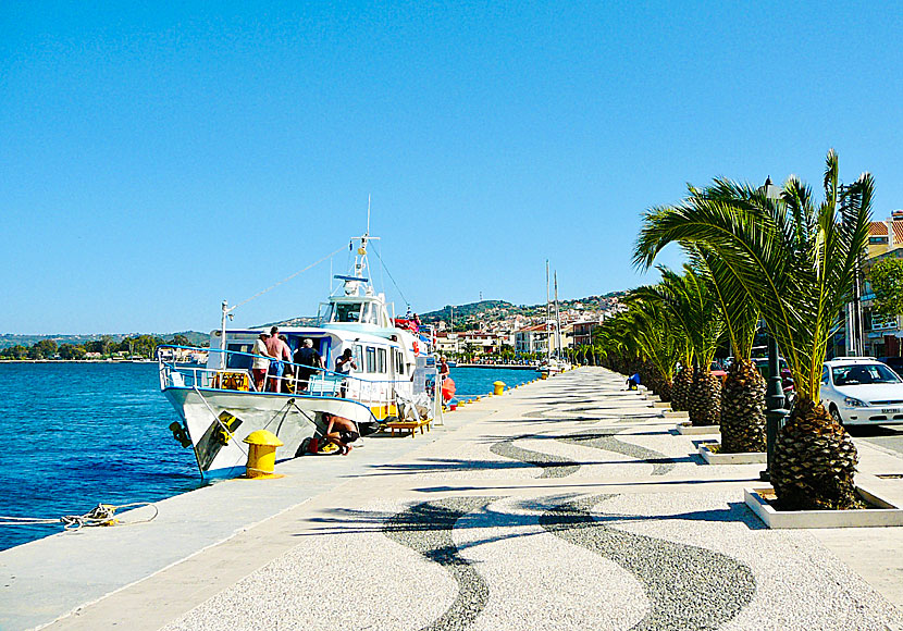 Utflyktsbåtar och taxibåtar i Argostoli på Kefalonia.