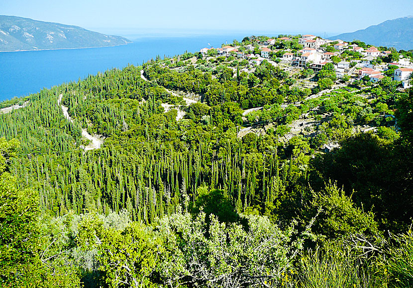 Vandra på vackra Kefalonia i Grekland.