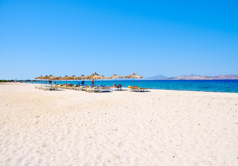 Golden beach nära stranden i Tigaki på Kos.