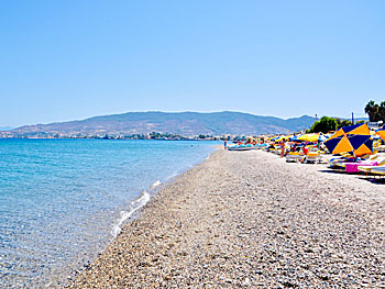 Lambi beach på Kos.