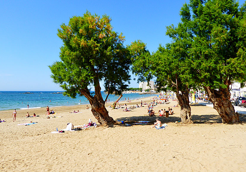 Den långa fina sandstranden i Nea Chora.