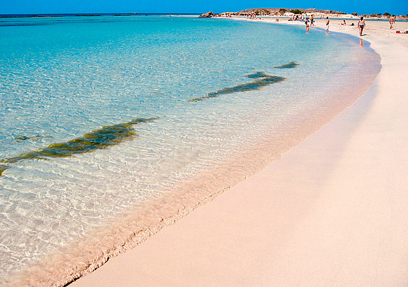 Den rosafärgade sandstranden Elafonissi på Kreta.