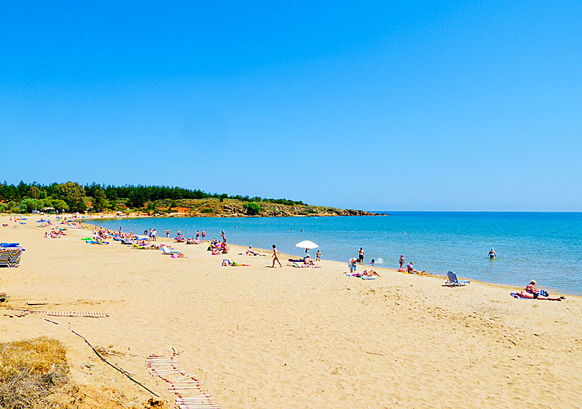 De fina barnvänliga stränderna Chrissi Akti och Golden beach på västra Kreta.