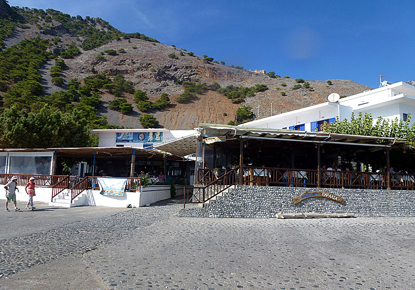 Taverna Paralia är en av många tavernor i Agia Roumeli.