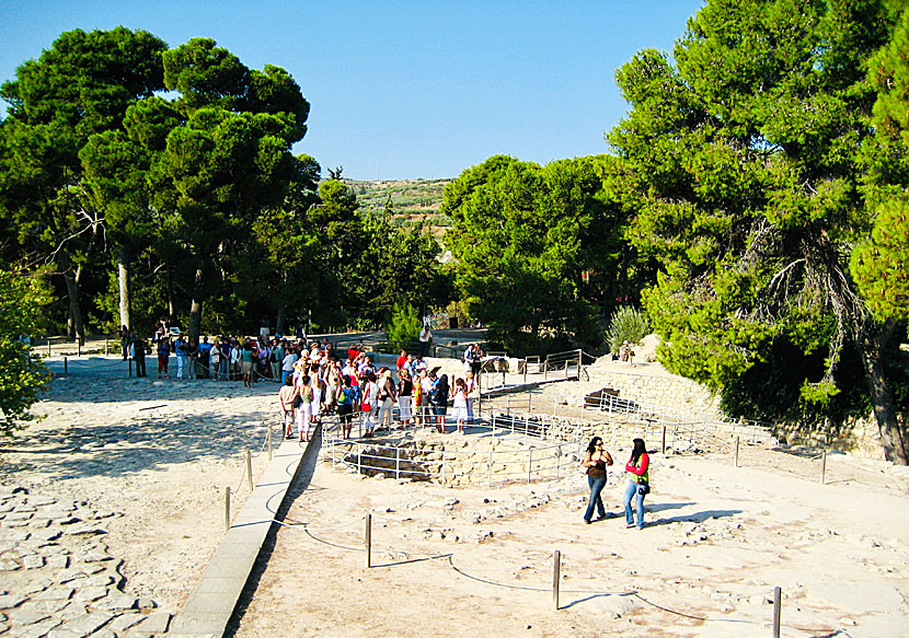 Palatsområdet i Knossos är väldigt stort och det är dåligt med skugga.