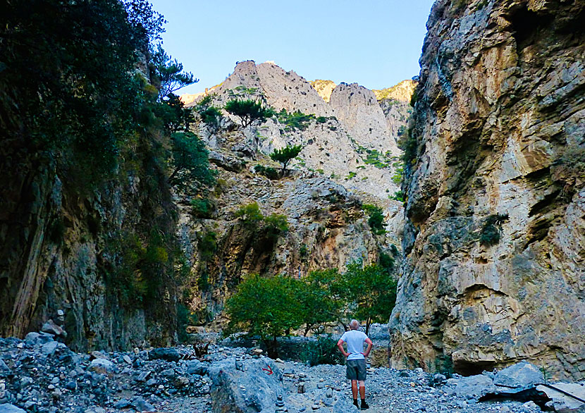 Vandra i Rouvasravinen i Zaros på Kreta