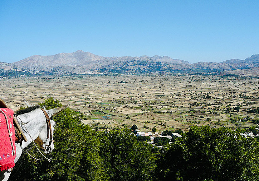 Vy över Lasithiplatån från Dikteon Cave på Kreta.