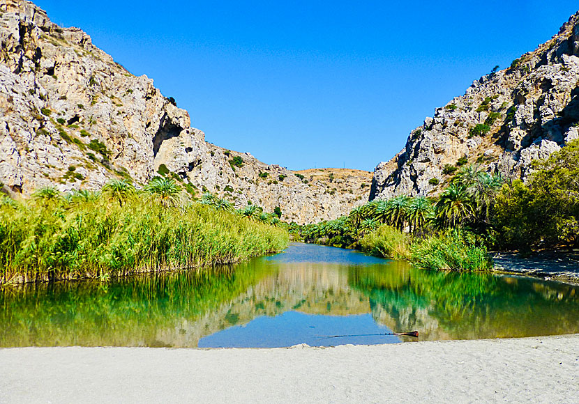 Floden Megalo Potamos i Preveli kantas av palmer och mynnar ut på stranden.