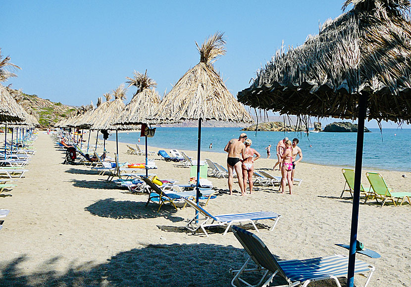 Palmstranden Vai på östra Kreta.