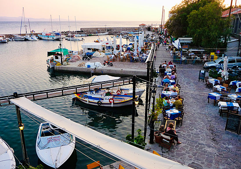 I den makalöst mysiga fiskhamnen i Molyvos ligger många bra restauranger. 