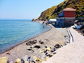 Eftalou och Anargyri beach på Lesbos.