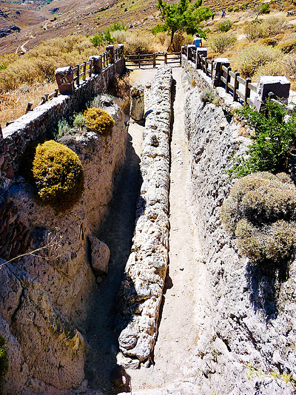 Ett av de längsta träden som har hittats i Lesvos Petrified Forest.