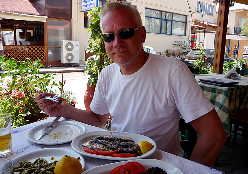 Sardiner, grillad bläckfisk och fasolakia in Skala Kalloni. 