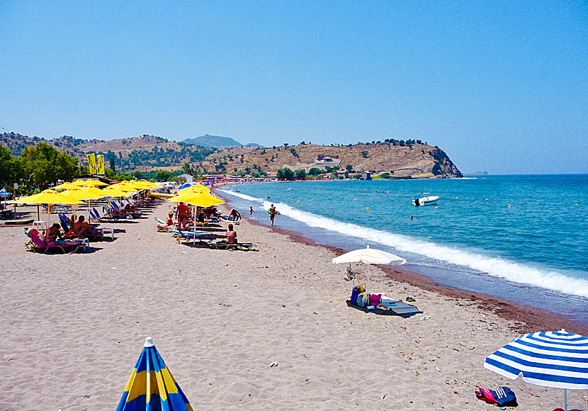 Stranden i Anaxos på Lesbos.