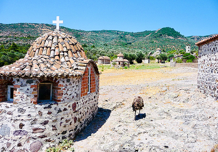 Utanför Limonos Monastery på Lesbos finns ett 40-tal små kyrkor.