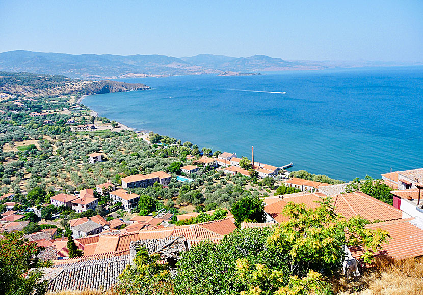 Vy från Molyvos Castle över byarna Molyvos och Petra på Lesbos.