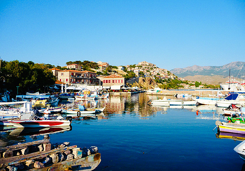 Fiskhamnen i Molyvos på Lesbos.