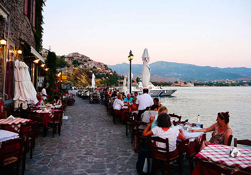 Bra restauranger och tavernor i Molyvos på Lesbos.